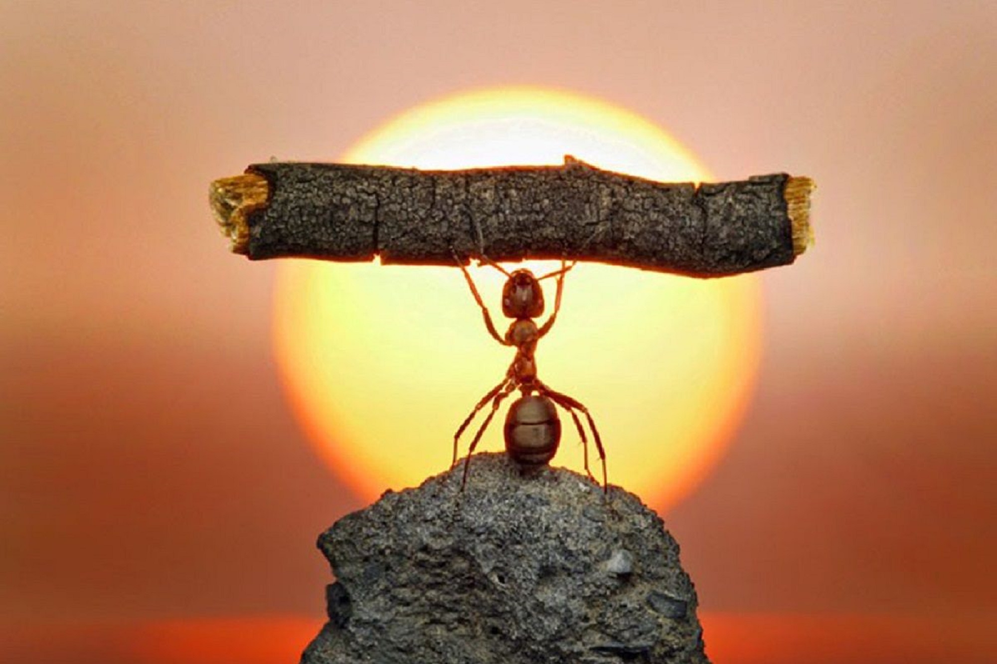 قدرت خواستن